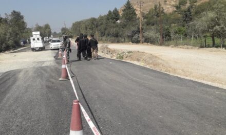 Suspicious Object Found In Achabal Anantnag, BDS On Job