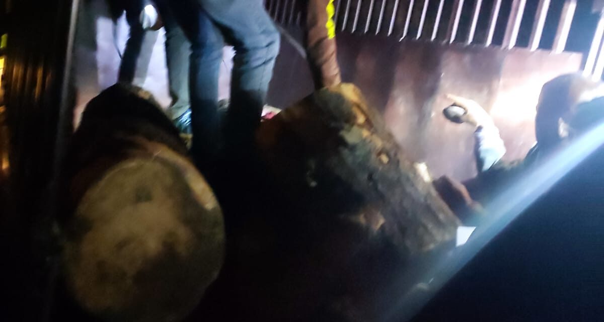 Vehicle With Illicit Timber seized in Kangan,driver arrested