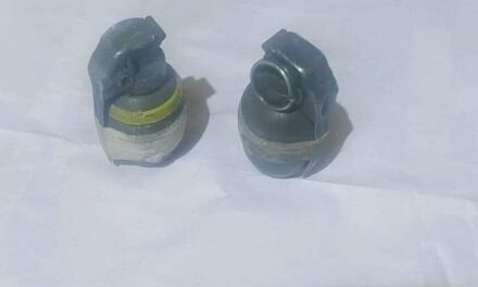 TRF militant associate arrested in Baramulla, 02 live grenades recovered:Police