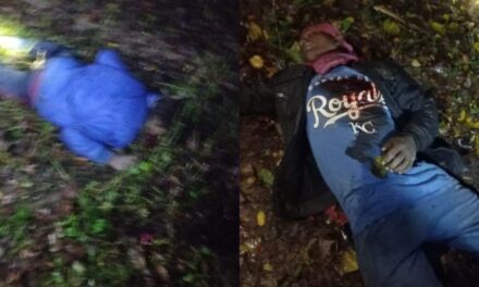 2 non-locals shot dead, another injured in Kulgam