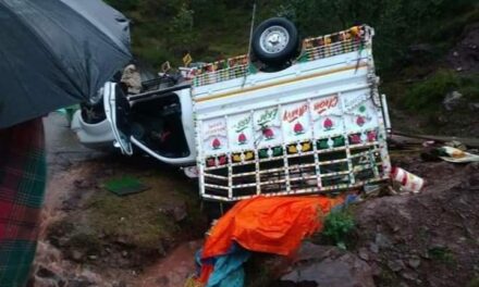 Mother-son duo among 3 killed, 4 Injured as load carrier turns turtle in Reasi
