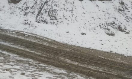 Higher reaches in J&K, Ladakh receive season’s first Snowfall