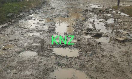Chappergund-Gutlibagh road in dilapidated condition,JKPDC tossing the ball to R&B department .