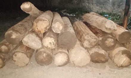 Ganderbal Police Seized illicit timber at Haknar Gund