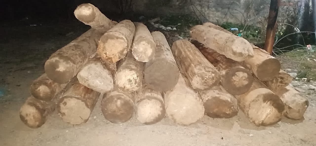 Ganderbal Police Seized illicit timber at Haknar Gund