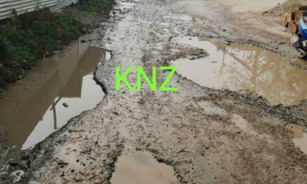 KNZ Impact:Chappergund-Gutlibagh road will be repaired in Coming days