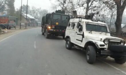 Pulwama encounter: Two militants killed, search on