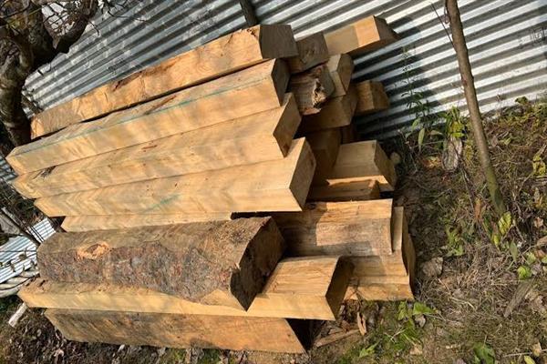 Illicit timber recovered from smugglers in Rafiabad village