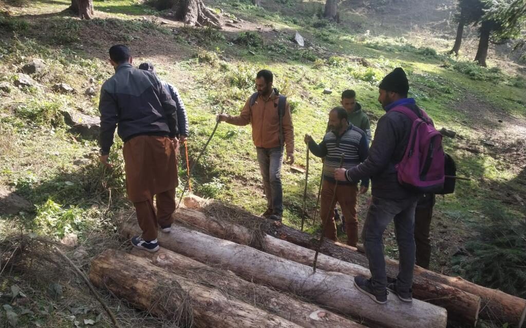 Illicit Timber Seized in Kuthar Range in Anantnag