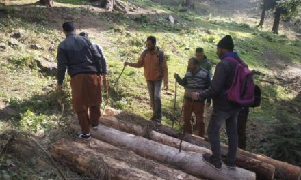 Illicit Timber Seized in Kuthar Range in Anantnag