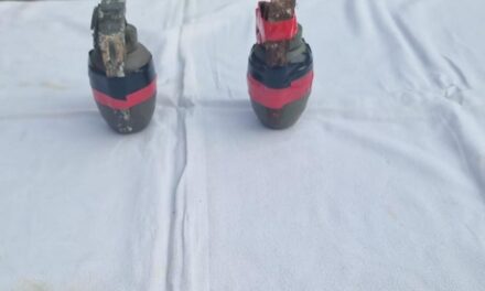 Palhallan Grenade Attack case: 3 LeT/TRF militant associates arrested in Baramulla, case solved by busting module says Police;02 grenade also recovered