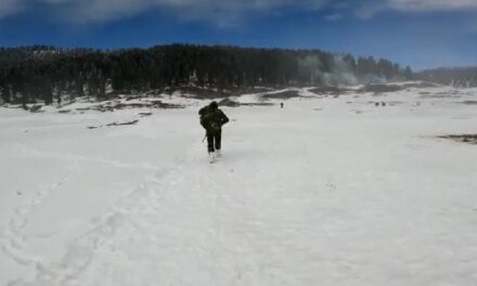 Army conducts helicopter-borne training exercise in Kashmir along with Navy Air Force
