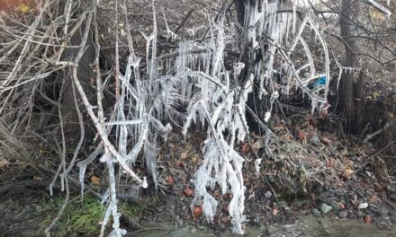 Chillai Kalan, 40-day harshest winter period begins