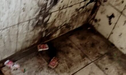 Students Rue Filthy Toilets At Amar Singh College