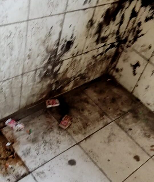 Students Rue Filthy Toilets At Amar Singh College