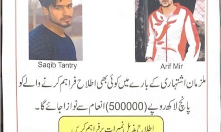 Missing SPO, Associate Arrested With 2 Weapons In Kupwara: IGP Kashmir