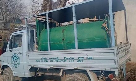 Big black bear captured alive in Dardpora Anderwan