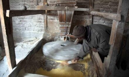 Decades on, Budgam villagers keep date with traditional grinding mill ‘Aab-e-Gratte’