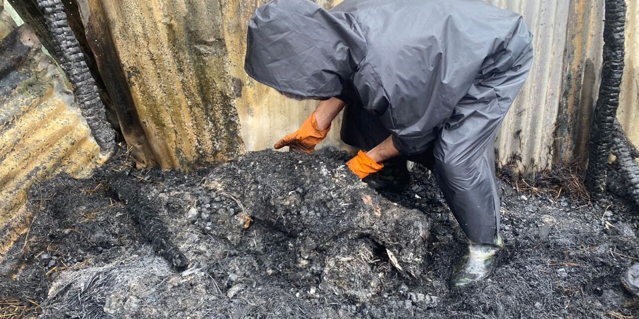 4 cattle charred to death in overnight blaze in Shalimar Srinagar