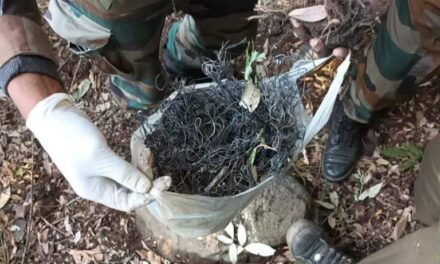 250 Detonators Found, Destroyed In Poonch