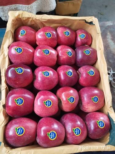 Fruit Growers seek GoI’s intervention, demand ban on Iranian apples,’PM Modi should uphold Make in India slogan’