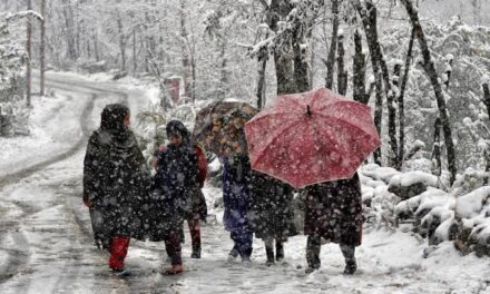 MeT Forecasts Light Snow, Rainfall On March 2-3 In J&K