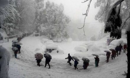 After Snowfall, Mercury Drops Slightly At Most Places In J&K, Ladakh