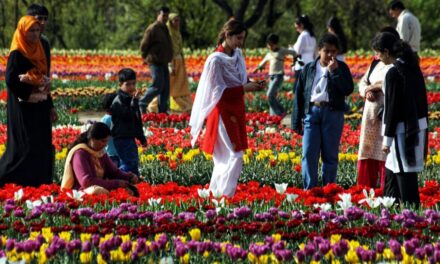 Tulip garden to be thrown open from March 20 onwards: Com Sec Floriculture