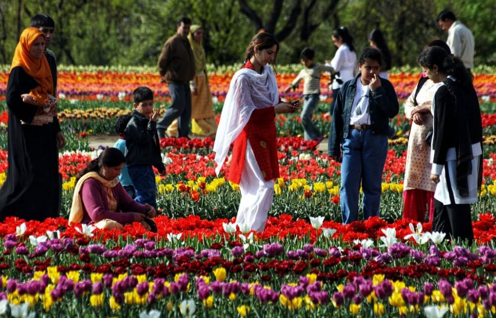 Tulip garden to be thrown open from March 20 onwards: Com Sec Floriculture