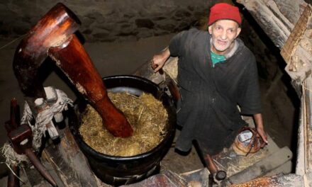 77 year old man from Pampore keeps tradition of ox-driven oil mill alive