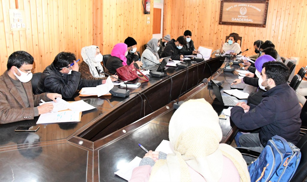 DC Gbl reviews progress on implementation of CSSs, developmental works