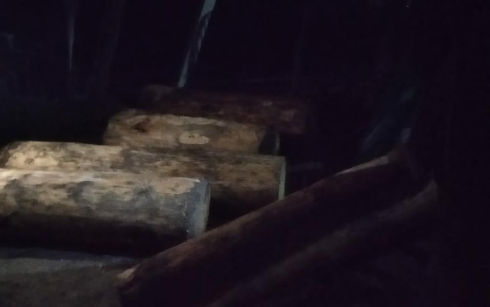 22 cft illicit timber seized in Najwan Kangan