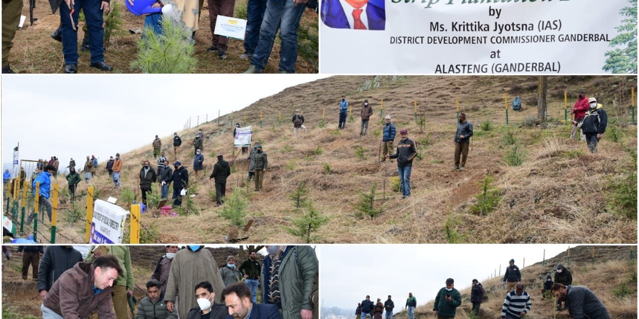 DC Ganderbal kick starts plantation drive under ‘Har Gaon Hariyali’ at Alustang
