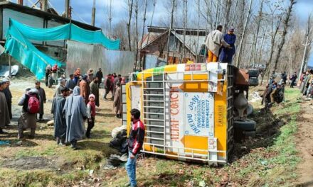 Several Persons Injured in Pattan Road Mishap