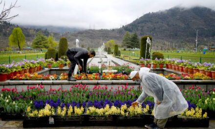Future of gardeners at Floriculture deptt at stake