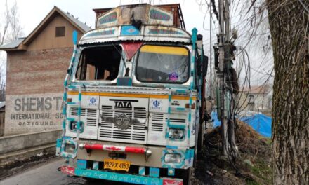 Driver charred to death inside truck in Qazigund
