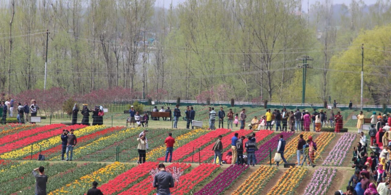 Tulip garden to be thrown open from Mar 23 onwards: Director Floriculture