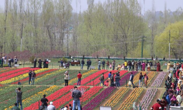Day before Ramadan over 49K visitors arrive in Tulip garden