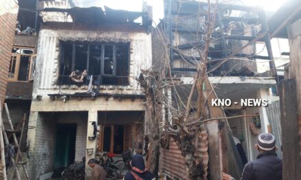 7 residential houses gutted in midnight blaze at Batamaloo
