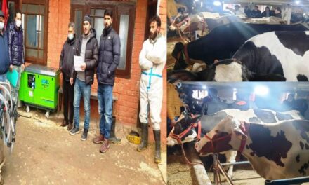 Dairy farming helps this Kashmir youth to milk profit