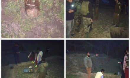 Rusted Grenade Found, Destroyed in Awura Kupwara