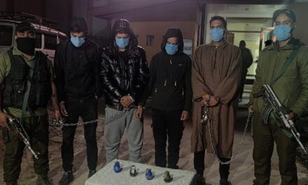4 OGWs Arrested, As Many Grenade Recovered In Srinagar: Police