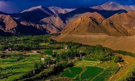 34 people from outside bought properties in J&K after Article 370 was scrapped: Govt