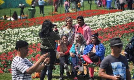From March 23 to April 10; 3.11 lakh visitors visit famous Tulip Garden in Srinagar