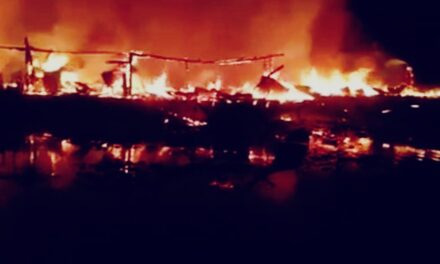 At least 5 houseboats gutted in massive fire in Nigeen Lake