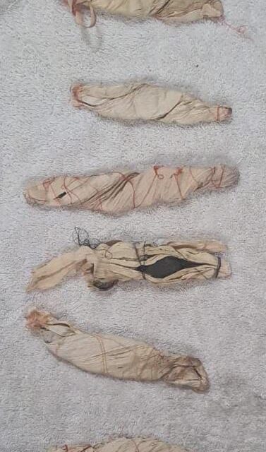 Baramulla; Drug peddler arrested, 180 grams of charas recovered; Police