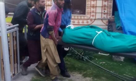 Tourist, horse dies after pine tree falls on them in Pahalgam