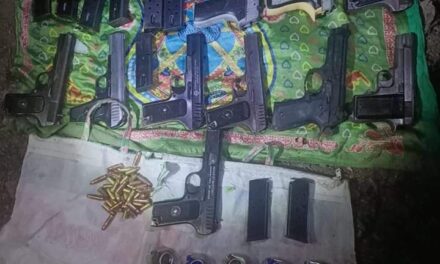 Updated: 10 pistols, 5 grenades smuggled along LoC recovered in Kupwara: Police