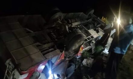 2 of marriage party killed, 28 hurt in mishap