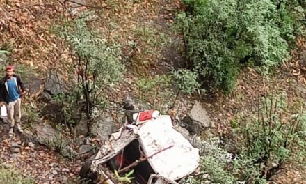 3 Persons Killed, 6 Injured As Passenger Cab Falls Into Gorge In Reasi